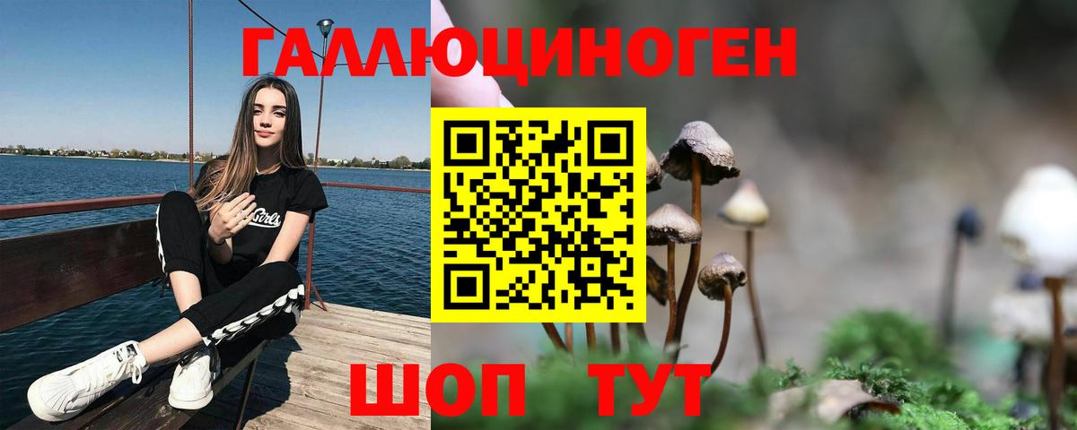 Псилоцибиновые грибы Psilocybine cubensis  Вход с VPN  Галлюциногенные грибы Psilocybe  Гулькевичи 